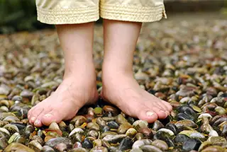 Reflexology Path