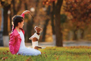 Pet Park