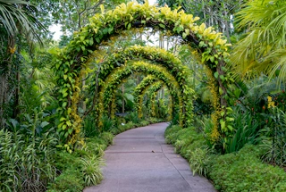 Thematic Garden