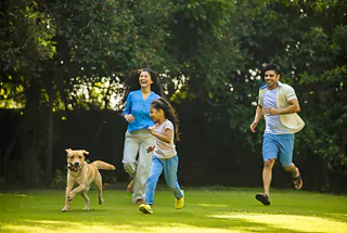 Pet Park
