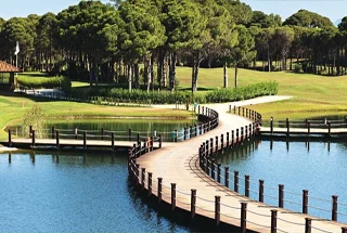 Artificial Lake