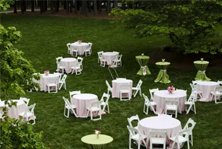 Party Lawn