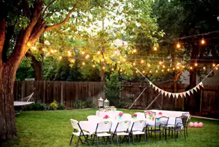 Party Lawn