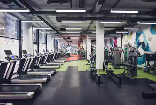 Gymnasium