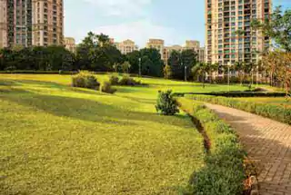 Landscaped Garden