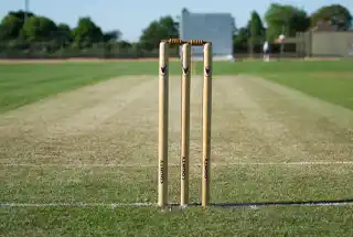 Cricket Pitch