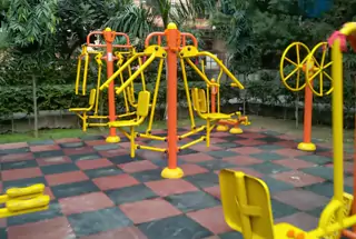 Open Gym