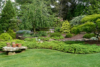 Landscaped Garden