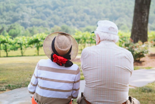 Senior Citizen Garden