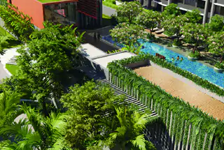 land scaped Garden