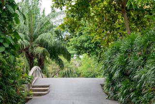 Landscaped Garden