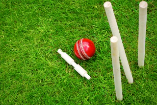 Box Cricket Pitch