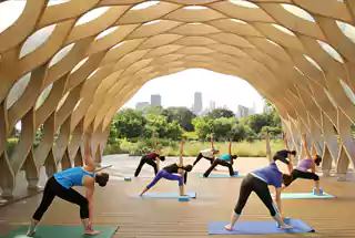 Yoga Zone