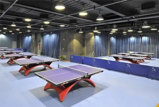 Table Tennis Court