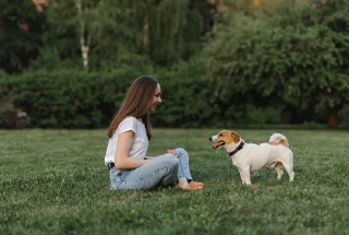 Pet Park