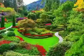 Leisure Garden