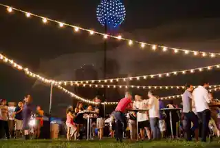 Party Lawn