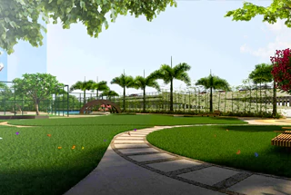 party lawn
