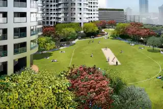 Cricket Pitch