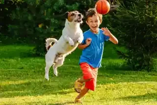 Pet’s Zone