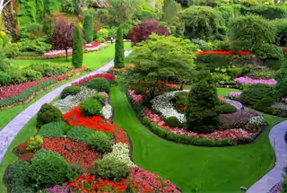 Landscaped Greens