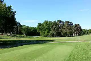 landscaped green