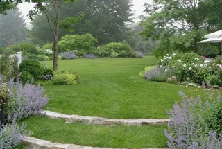 LANDSCAPED GARDEN