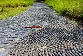 Reflexology Garden