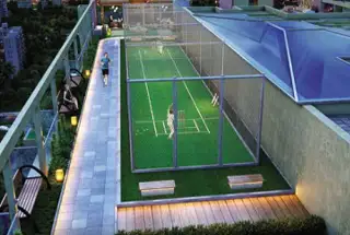 Sky Cricket Pitch
