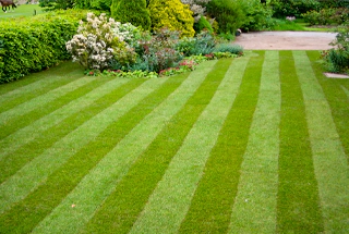 Patterned Lawn Area