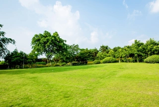 Landscaped Garden