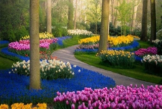 Flower Garden