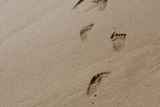 Sand Bed Walking Track
